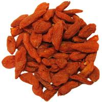 Goji kustovnice čínská