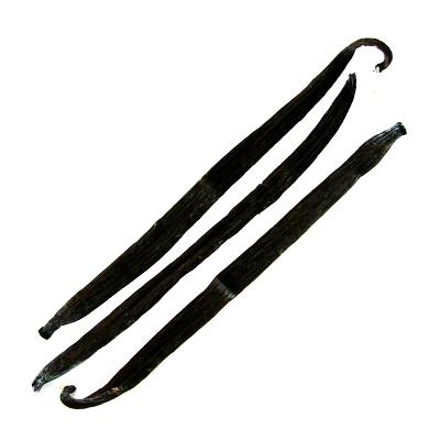 Vanilka lusk 15-17cm Madagaskar